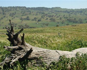 Self Drive Geology And Nature Trails - Sunshine Coast Tourism 3