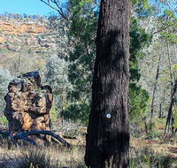 Eualdrie walking track - Holiday Sunshine Coast