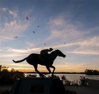 Black Caviar Statue - Sunshine Coast Tourism