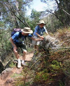 Mount Arthur Reserve - Sunshine Coast Tourism 0