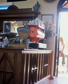 Cactus Cafe And Gallery - Sunshine Coast Tourism 1