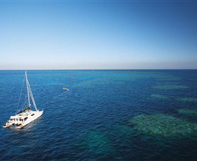 Bait Reef And Garys Lagoon Dive Site - Holiday Sunshine Coast 0