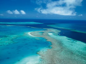 Fairey Reef - Sunshine Coast Tourism 2