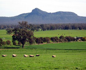 The Rock Nature Reserve - Holiday Sunshine Coast 0