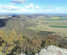 The Rock Nature Reserve - Holiday Sunshine Coast 3