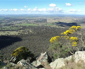 The Rock Nature Reserve - Holiday Sunshine Coast 4