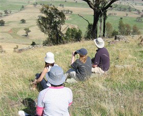 The Rock Nature Reserve - Holiday Sunshine Coast 2