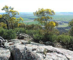 The Rock Nature Reserve - Holiday Sunshine Coast 6