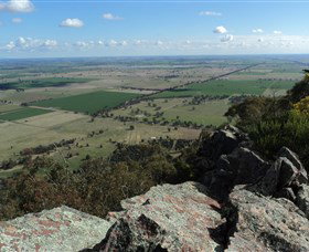 The Rock Nature Reserve - Holiday Sunshine Coast 5