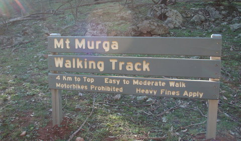 Mount Murga Walking Track - Sunshine Coast Tourism 1
