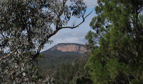 Mount Murga Walking Track - Sunshine Coast Tourism 2