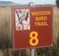 Weddin Bird Trails - Holiday Sunshine Coast