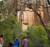Sawn Rocks walking track - Holiday Sunshine Coast