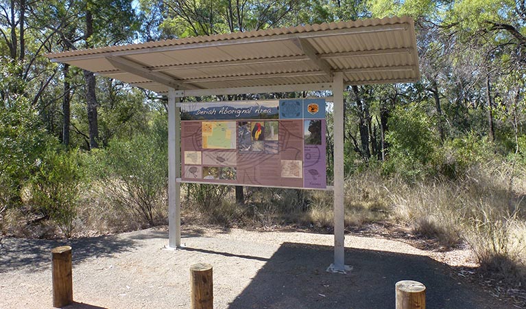 Eulah Creek NSW Sunshine Coast Tourism