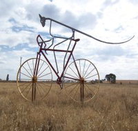 Animals on Bikes - Holiday Sunshine Coast