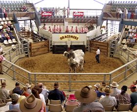 Gracemere Exhibition Complex - Sunshine Coast Tourism 1