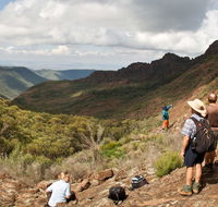 Yulludunida walking track - Holiday Sunshine Coast