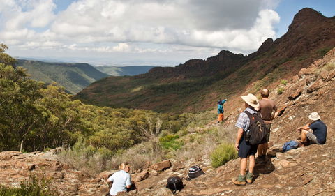Yulludunida Walking Track - Sunshine Coast Tourism 0