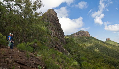 Yulludunida Walking Track - Sunshine Coast Tourism 1