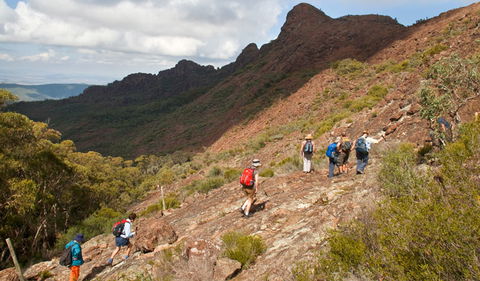 Yulludunida Walking Track - Sunshine Coast Tourism 2