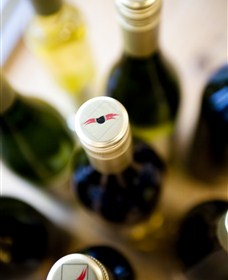 Charles Sturt University Winery Wagga Wagga - Sunshine Coast Tourism 2