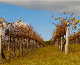 Charles Sturt University Winery Wagga Wagga - Sunshine Coast Tourism 3