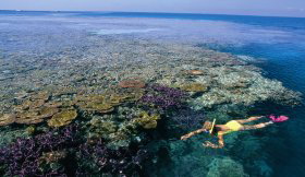 Hardy Reef - Holiday Sunshine Coast 1