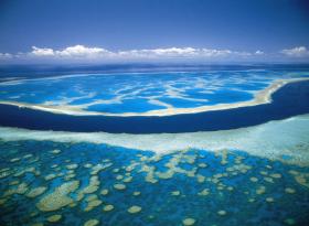 Hardy Reef - Holiday Sunshine Coast 0