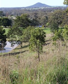 Mt Piper Nature Conservation Reserve - Holiday Sunshine Coast 1