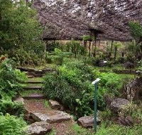 Burrendong Botanic Garden and Arboretum - Holiday Sunshine Coast