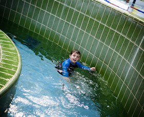 Oasis Regional Aquatic Centre - Holiday Sunshine Coast 1