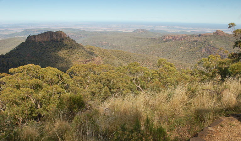 Kaputar NSW Sunshine Coast Tourism