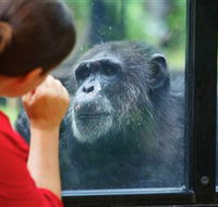 The Rockhampton Zoo