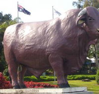 Rockhampton Bull Statues