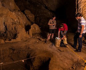 Capricorn Caves - Holiday Sunshine Coast 2