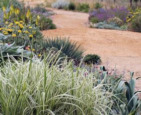 Perennialle Plants Nursery And Garden - Sunshine Coast Tourism 1