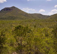Kutini-Payamu Iron Range National Park CYPAL - Sunshine Coast Tourism