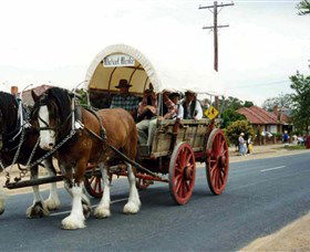 The Trek Wagon Walla Walla - Sunshine Coast Tourism 1