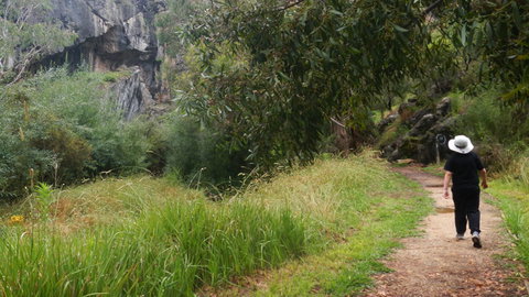 Borenore Karst Conservation Reserve - Sunshine Coast Tourism 3