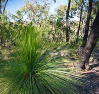Brisbane Ranges National Park - Sunshine Coast Tourism