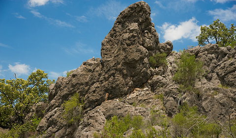 Verandah Cave - Holiday Sunshine Coast 2