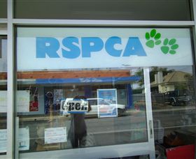 R.S.P.C.A Opportunity Shop - Sunshine Coast Tourism 0
