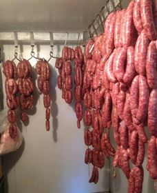 Buronga Organics - Coota - Holiday Sunshine Coast 1