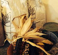 Buronga Organics - Coota - Sunshine Coast Tourism