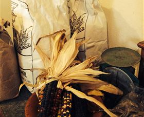 Buronga Organics - Coota - Holiday Sunshine Coast 0