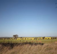 Cootamundra Bird Walk - Sunshine Coast Tourism