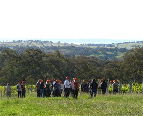 Cargo Road Wines - Sunshine Coast Tourism 4