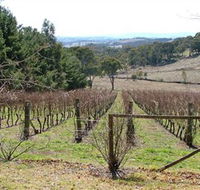 Habitat Vineyard - Sunshine Coast Tourism
