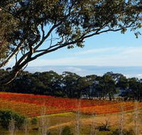 Bloodwood Estate - Sunshine Coast Tourism