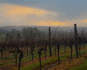 Bloodwood Estate - Sunshine Coast Tourism 1